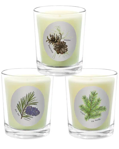 Qualitas Candles 3pc Candle Set - Fir Needle In Green