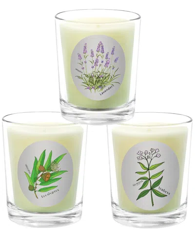 Qualitas Candles 3pc Candle Set - Lavender In White