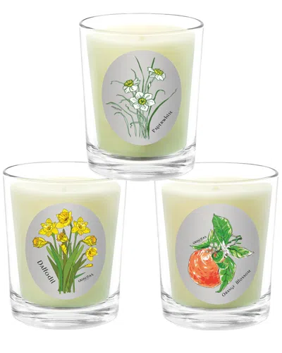 Qualitas Candles 3pc Candle Set - Orange Blossom In Multi