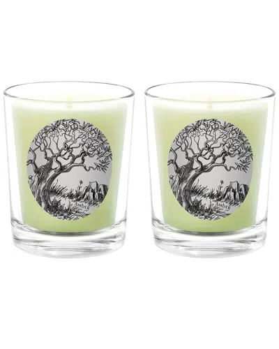 Qualitas Candles Amber Two Scented Beeswax Candle Set In Green