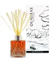 Qualitas Candles Autumn Leaf Reed Diffuser In Orange