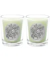 Qualitas Cyprass Two Scented Beeswax Candle Set In White