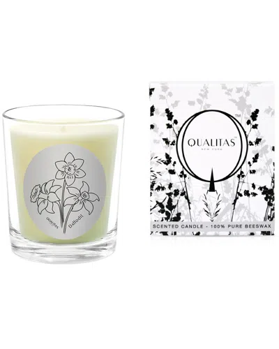 Qualitas Candles Daffodil 6.5oz Beeswax Candle In Green