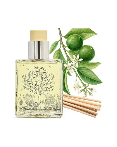 Qualitas Candles Desert Lime 6.75oz  Diffuser In Green