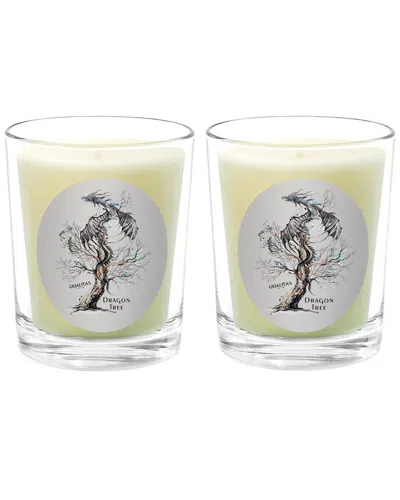 Qualitas Candles Dragon Tree Two Scented Beeswax Candle Set In Green