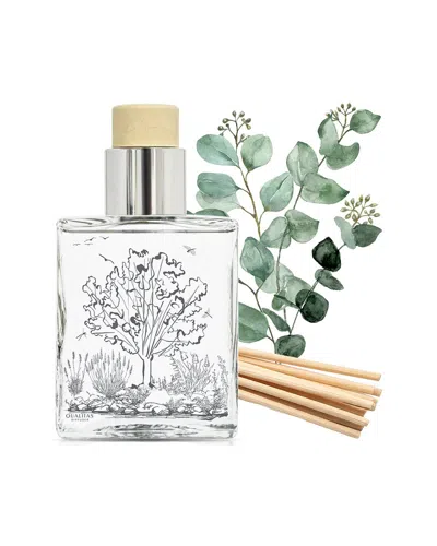 Qualitas Candles Eucalyptus 6.75oz Diffuser In Multi