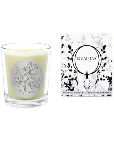 Qualitas Candles Fig Tree 6.5oz Candle