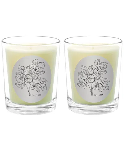 Qualitas Candles Fig Tree Two Scented Beeswax Candle Set In White