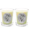 Qualitas Fir Needle Two Scented Beeswax Candle Set In White