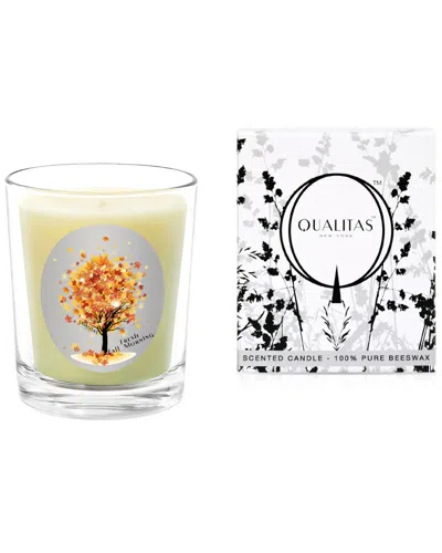 Qualitas Fresh Fall Morning 6.5oz Beeswax Candle In White