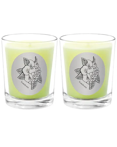 Qualitas Candles Gardenia Two Scented Beeswax Candle Set In White