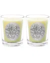 Qualitas Ginger Glass Two Scented Beeswax Candle Set In White