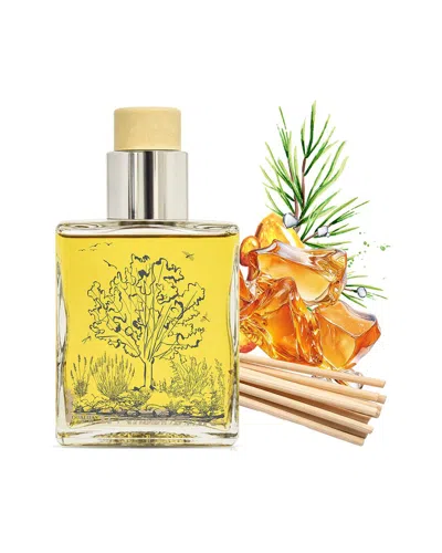 Qualitas Candles Handmade Amber Reed Diffuser In Multi