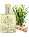 Qualitas Candles Handmade Citronella Madagascar Reed Diffuser In Multi