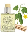 Qualitas Candles Handmade Cucumber Reed Diffuser In Green