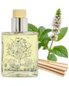 Qualitas Candles Handmade Peppermint Leaf Reed Diffuser In Multi