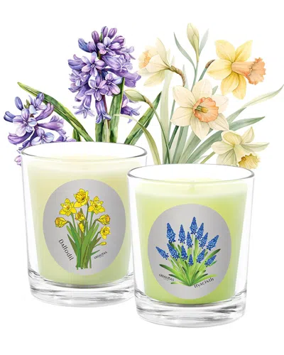 Qualitas Candles Hand-poured Candle Set - Daffodil Hyacinth In Multi