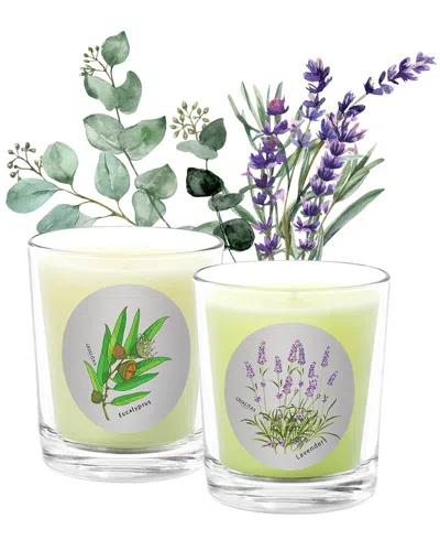 Qualitas Candles Hand-poured Candle Set - Lavender Eucalyptus In Multi