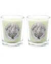 Qualitas Lavender Two Scented Beeswax Candle Set In White