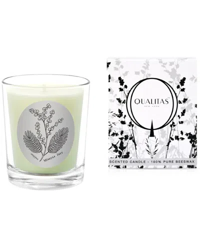Qualitas Candles Mimosa Tree 6.5oz Candle
