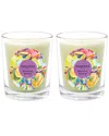 Qualitas Morning Bloom Two Scented Beeswax Candle Set In White