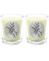 Qualitas Oak Tree Two Scented Beeswax Candle Set In White