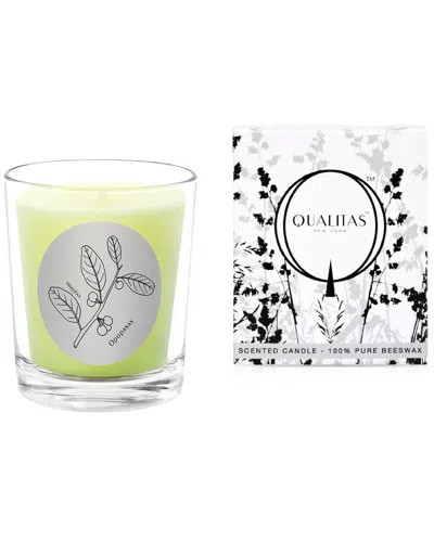 Qualitas Candles Opopanax 6.5oz Beeswax Candle In Multi