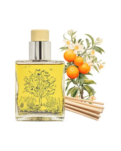 Qualitas Candles Orange Blossom 6.75oz Diffuser In Multi