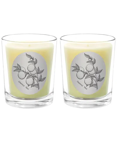 Qualitas Candles Orange Tree Two Scented Beeswax Candle Set In White