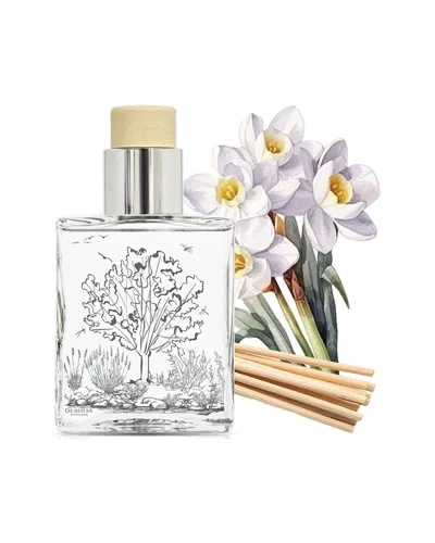 Qualitas Candles Paperwhite 6.75oz Diffuser In Transparent