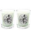 Qualitas Peppermint Leaf Two Scented Beeswax Candle Set In White