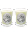 Qualitas Pine Tree Two Scented Beeswax Candle Set In White