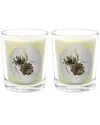 Qualitas Pinecone Two Scented Beeswax Candle Set In White
