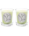 Qualitas Tea Two Scented Beeswax Candle Set In White