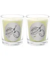 Qualitas The Apple Two Scented Beeswax Candle Set In White