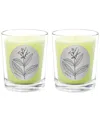 Qualitas Tobacco Two Scented Beeswax Candle Set In White
