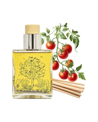 Qualitas Candles Tomato Leaf 6.75oz  Diffuser In Multi