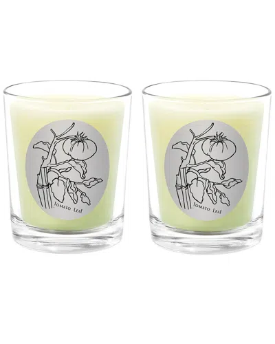 Qualitas Candles Tomato Leaf Two Scented Beeswax Candle Set In White