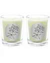 Qualitas Verbena Two Scented Beeswax Candle Set In White