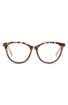 Quay All Nighter 56mm Cat-eye Reading Glasses In Brown