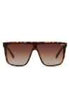 Quay Nightfall Extra Large 146mm Polarized Shield Sunglasses In Tortoise Gold/brown Polarized