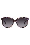 Quay Coffee Run 53mm Polarized Gradient Cat Eye Sunglasses In Purple Tort/smoke Polarized