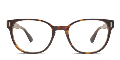 Quay Double Click Tortoise