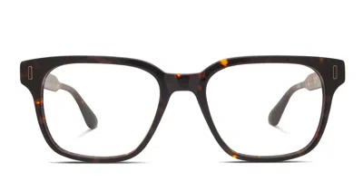 Quay Offline Tortoise