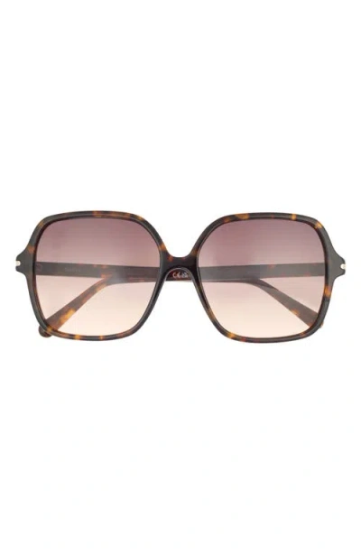 Quay Press Tour 60mm Gradient Square Sunglasses In Brown