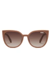 Quay Staycation 57mm Small Cat Eye Sunglasses In Doe/brown