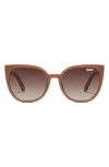 Quay Staycation 57mm Small Cat Eye Sunglasses