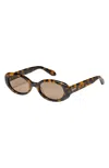 Quay Felt Cute 52mm Gradient Small Oval Sunglasses In Brown