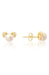 Queen Jewels Cz Pavè & Imitation Pearl Puppy Stud Earrings In Gold