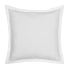 Queen Street Birchwood Hypoallergenic Euro Sham In White